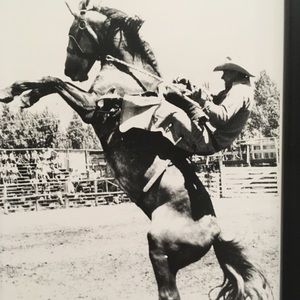 Meet your Posher, Gretel